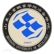 山东工业职业学院冶金学院|毕业证|19年样本(模板)