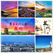 泉州毕业证样本图片